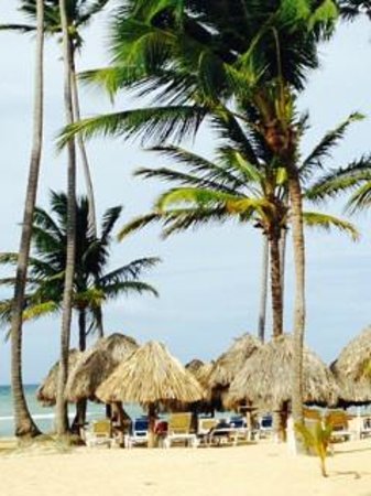 dreams punta cana swim out room reviews