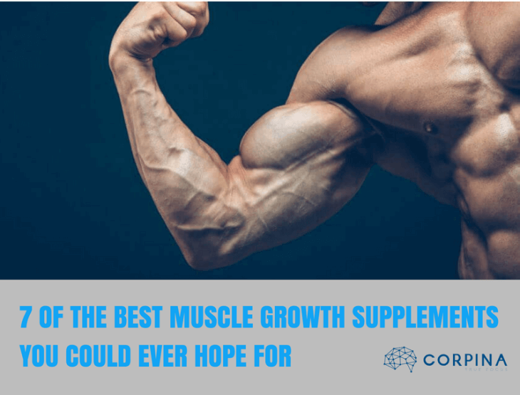 best muscle growth supplement reviews