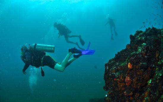 diving in costa rica reviews