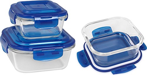 blue ocean food containers reviews