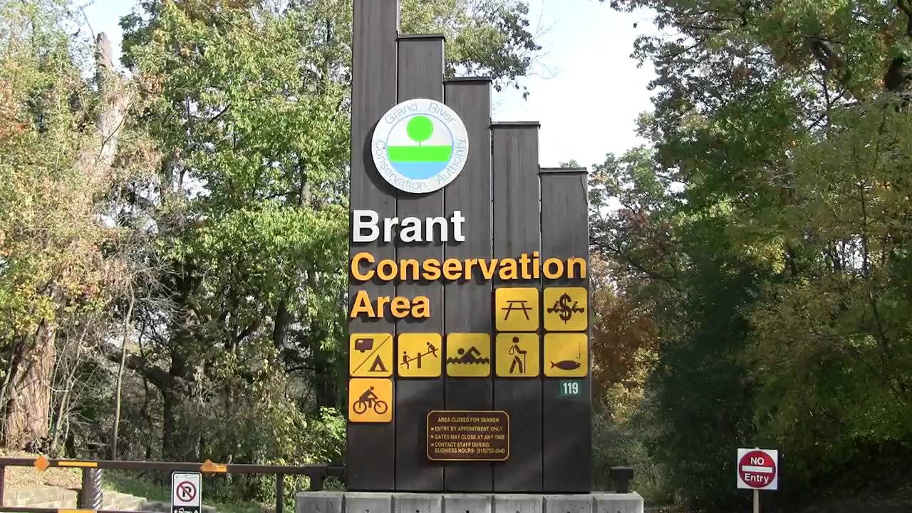brant conservation area camping reviews