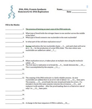 dna and protein synthesis review worksheet answers