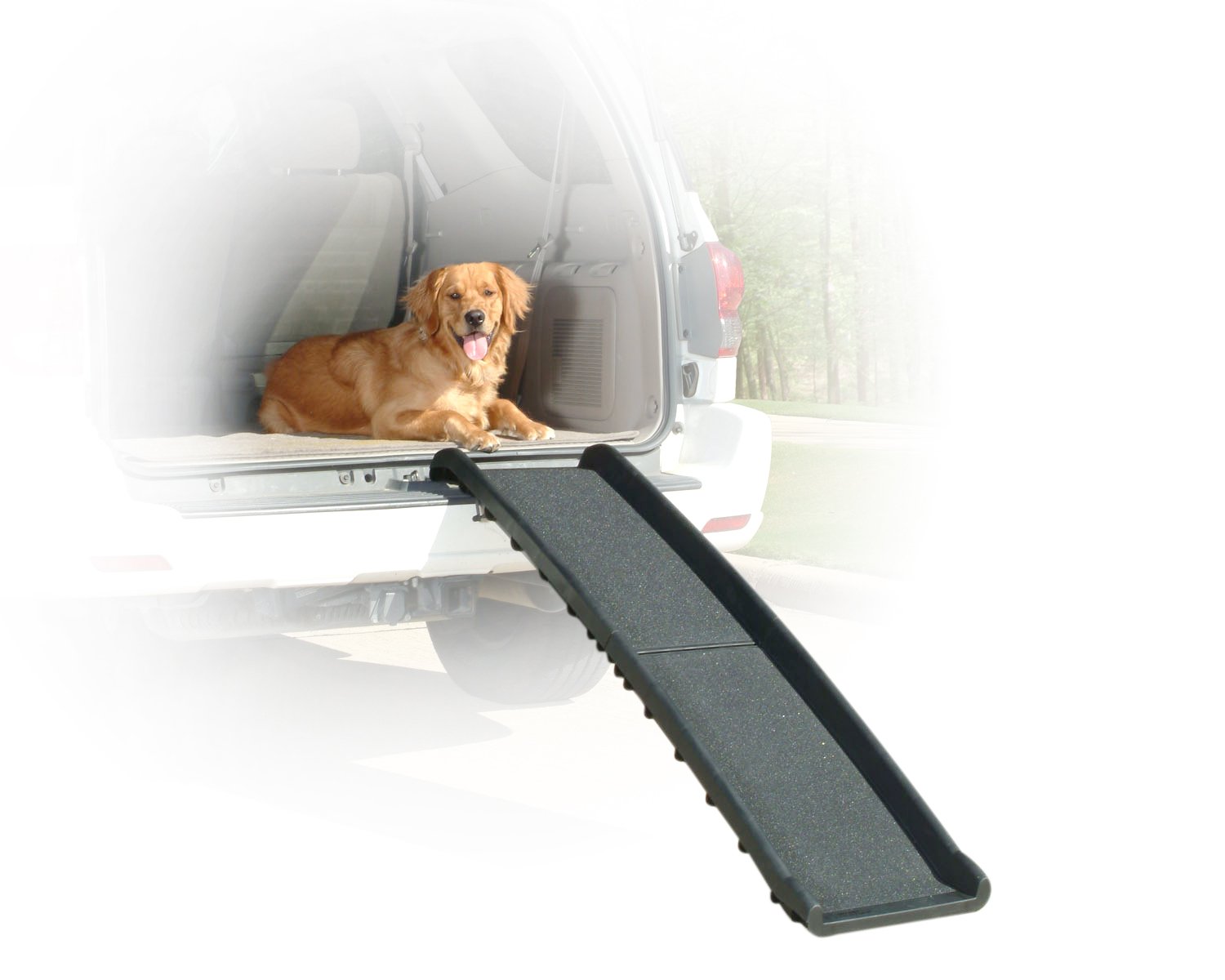 dog ramp for suv reviews